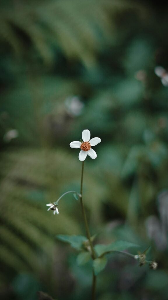 Color, Repetition and the Sound of Soft Things